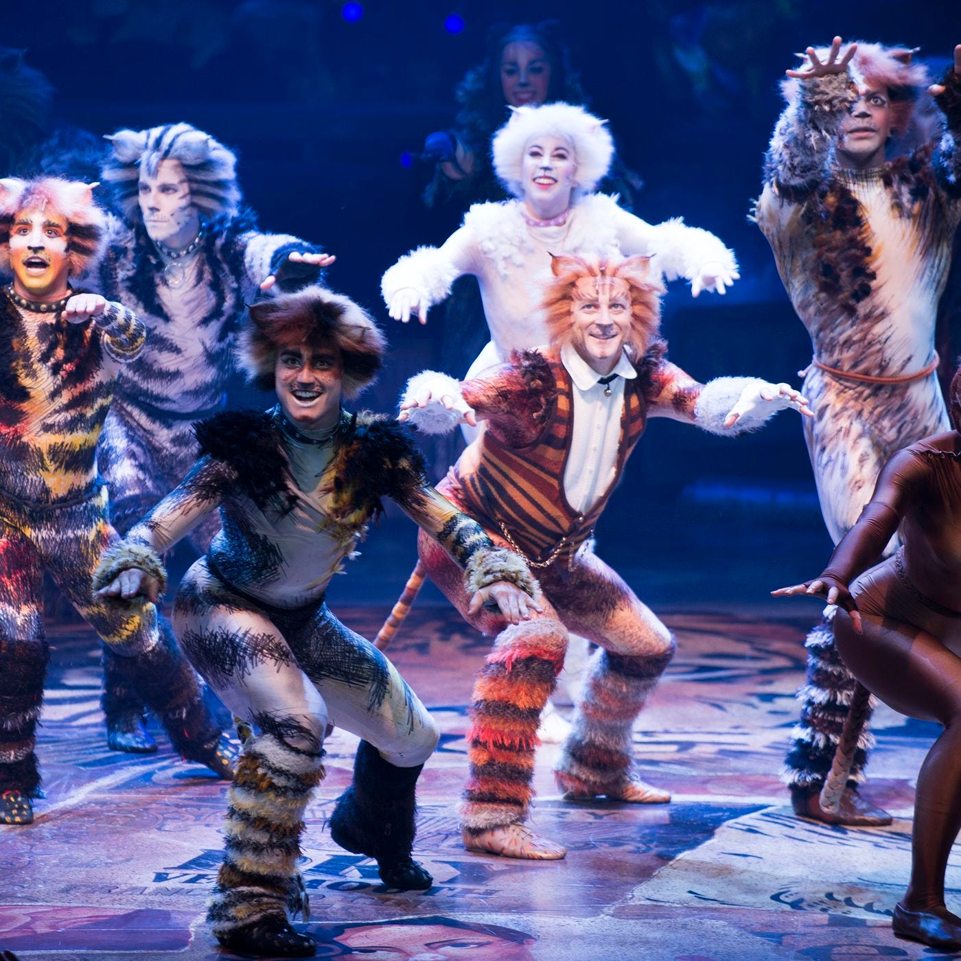 Cats the Musical Is Getting a Movie. Here's Why It's So Beloved. - Racked