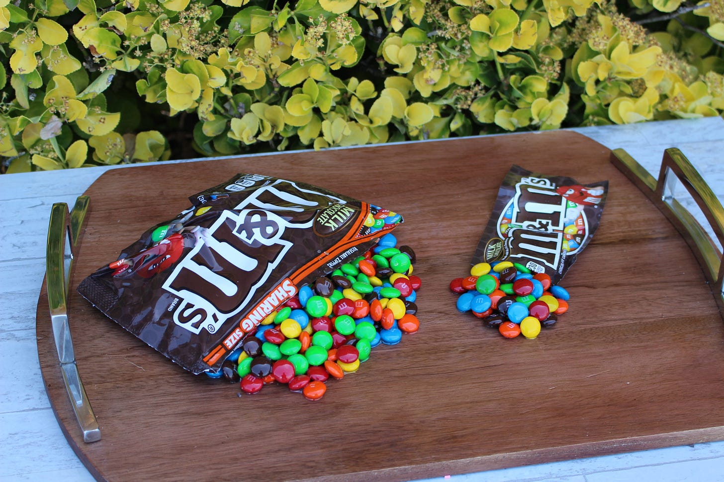 Small Spilled Bag of M&M's