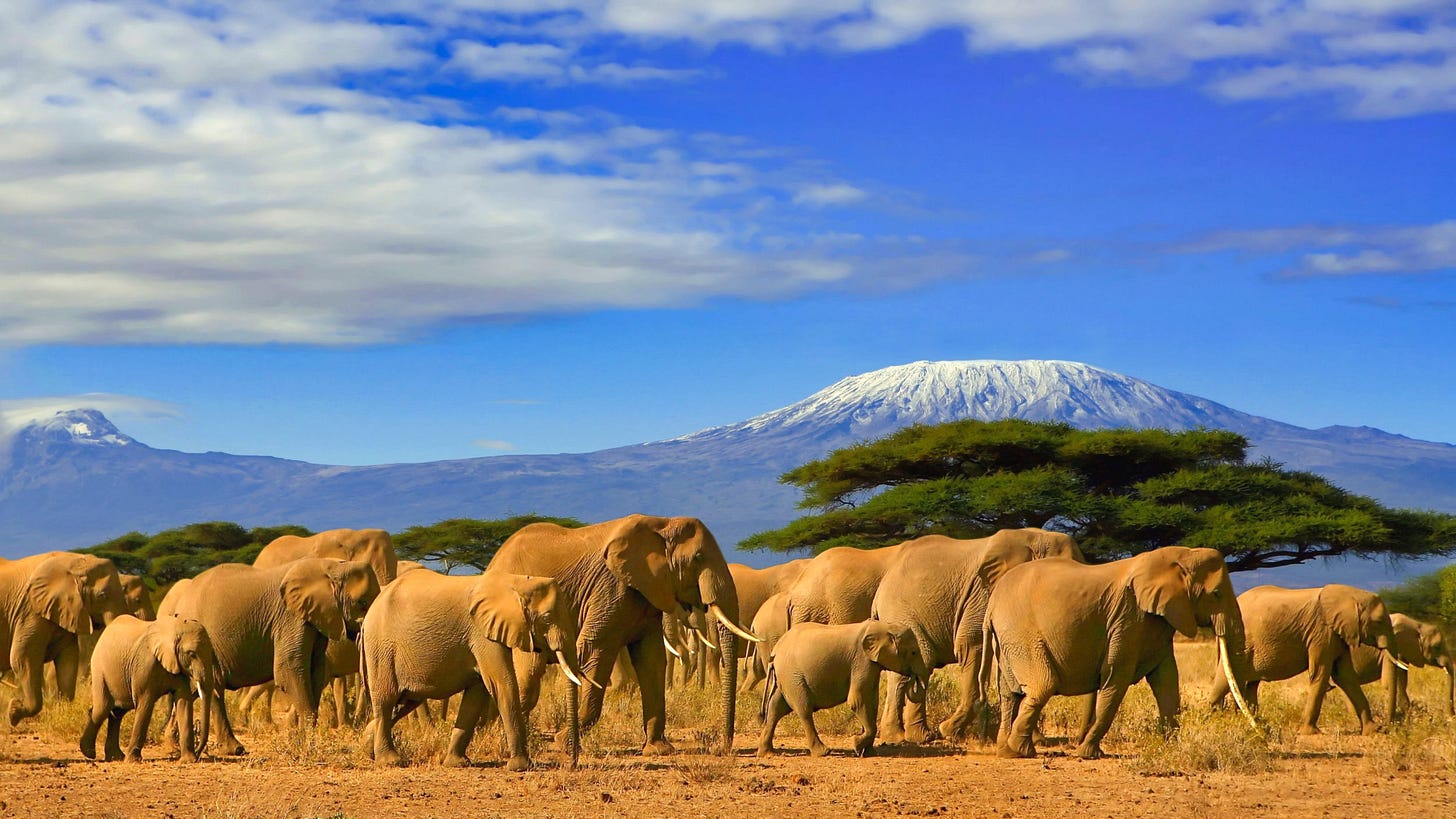 Tanzania - United States Department of State