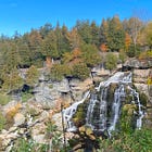 Grey Sauble Sounds Alarm Over Ontario’s Plan to Merge Conservation Authorities