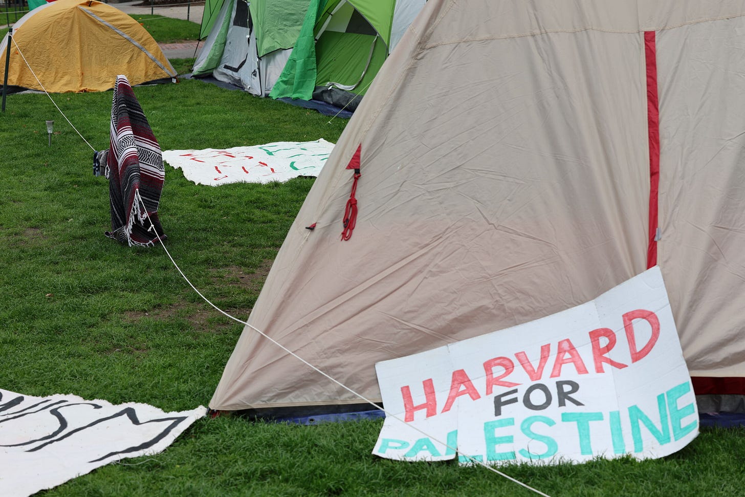 Agudath Israel: Harvard Should Have Combated Antisemitism as Vehemently as  It Now Wars With the Feds - Agudath Israel of America