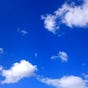 Vinegar Blue Sky's avatar