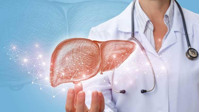 fatty liver choline defiency