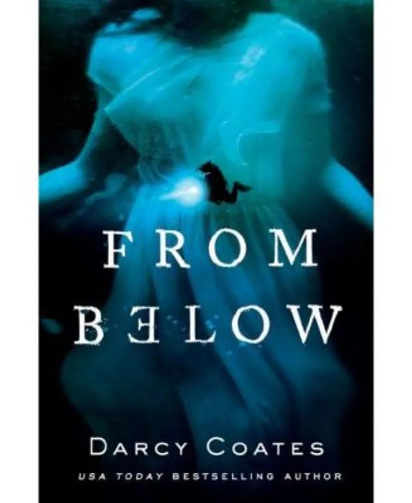 Barnes & Noble From Below by Darcy Coates | Dulles Town Center