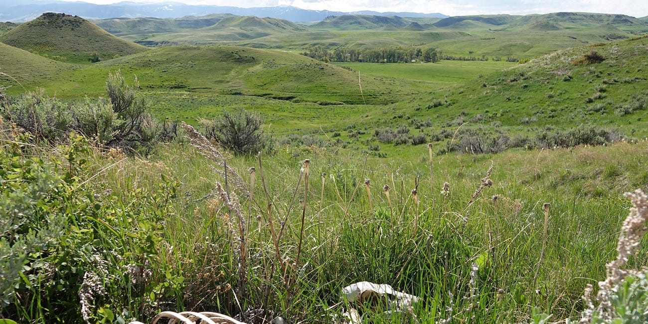Let's Talk Writing Residencies