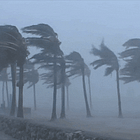 A Perfect Storm