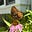Anna's avatar