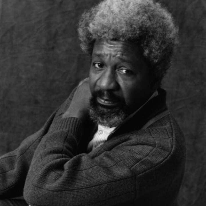 Yorùbáness on X: "This Amazing Portrait of Professor Wole Soyinka was taken  in 1990 by a popular photographer called Ulf Andersen in France. Photo  source: Getty Images https://t.co/DeUtZWH2OG" / X