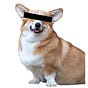 anon_royal_dog's avatar