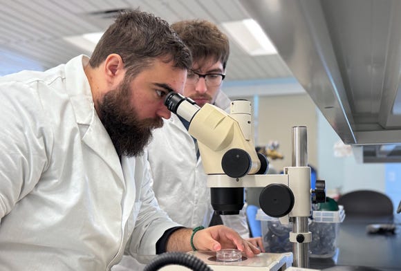 Quick News and Events from MDI Bio Lab - Bar Harbor Story