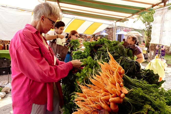 Retire-in-San-Miguel-de-Allende-Cost-of-Living - San Miguel Food Tours Retire-in-San-Miguel-de-Allende-Cost-of-Living - San Miguel Food Tours