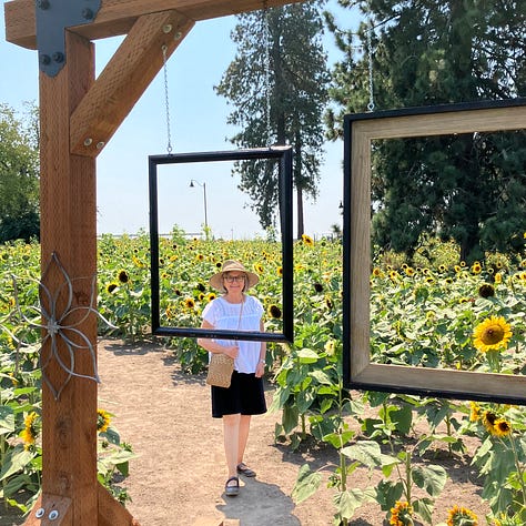 Sunflower farm, sunflowers, maze, windows, doors, and bikes