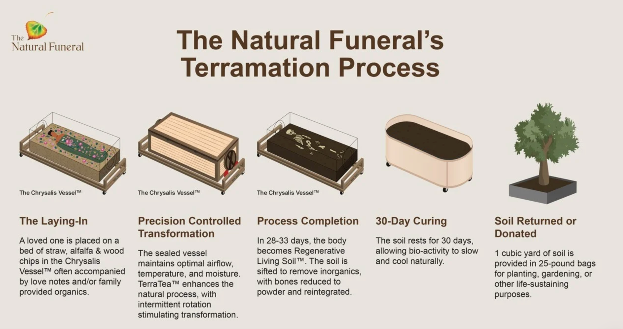 3 eco-friendly ways to be laid to rest
