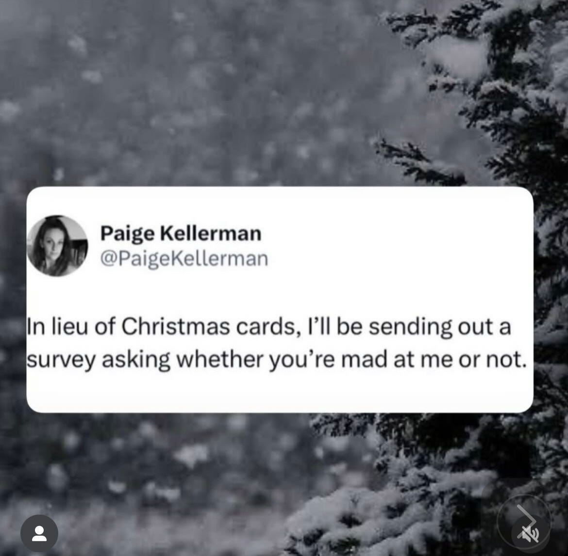 Merry Christmas from Alaska. All is (mostly) well., image size:1170x1147