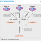 Das Spike-Protein und LNPs aktivieren das Komplementsystems
