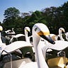 Japan Pics