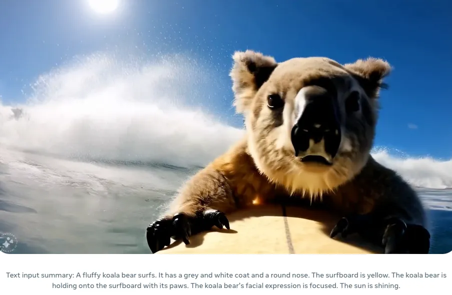 koala surfing