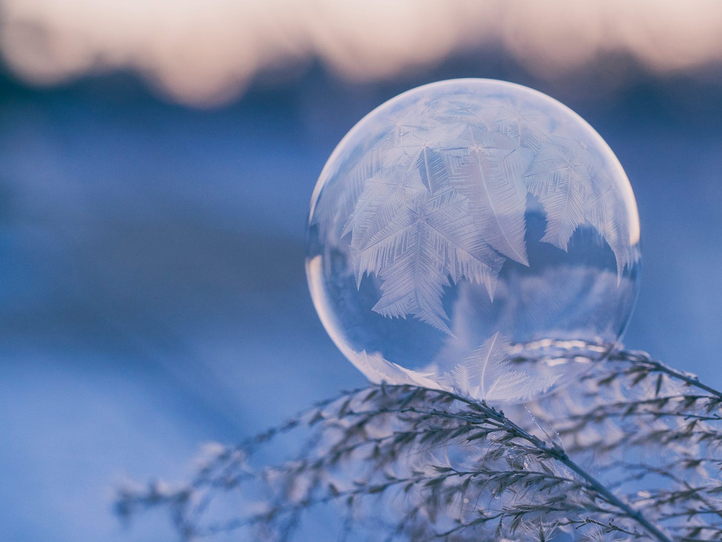 A frozen bubble rests on the frozen leaves of a tree.