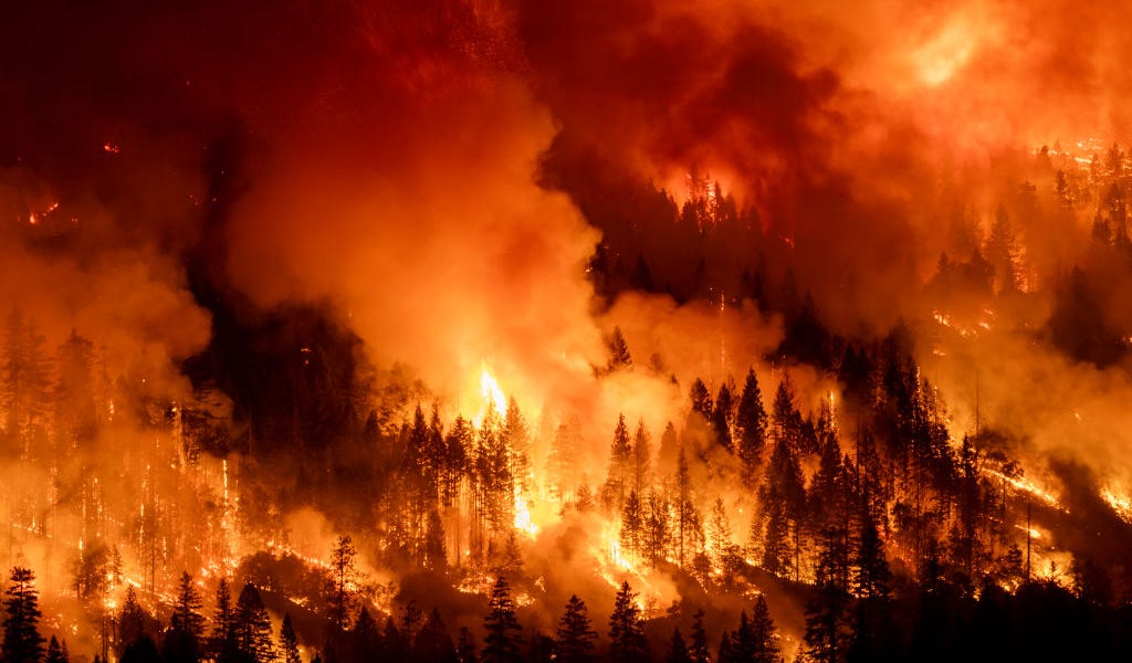 The Cost of Confused Climate Science