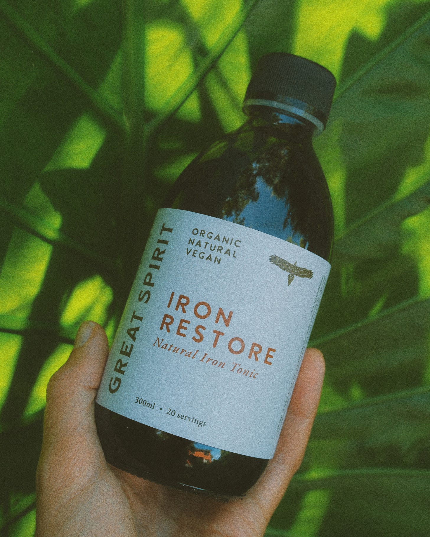 IRON RESTORE