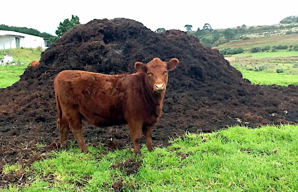 Picture credits: Barbour, I. https://www.flickr.com/photos/barbourians/7442875160/ Picture credits: Barbour, I. https://www.flickr.com/photos/barbourians/7442875160/