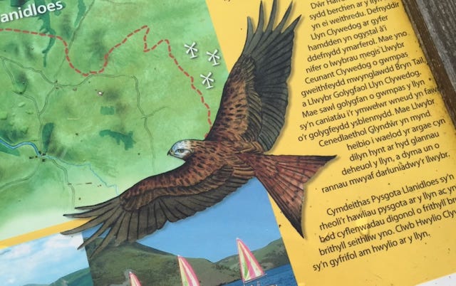 Picture of a tourist map In Welsh