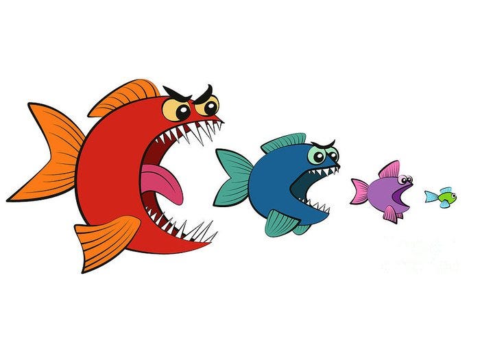 Fish eating fish eating fish Meme Generator - Imgflip
