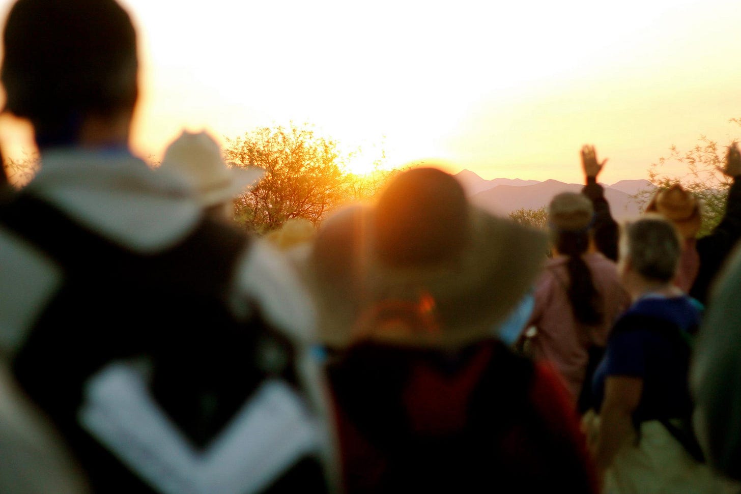 No photo description available.