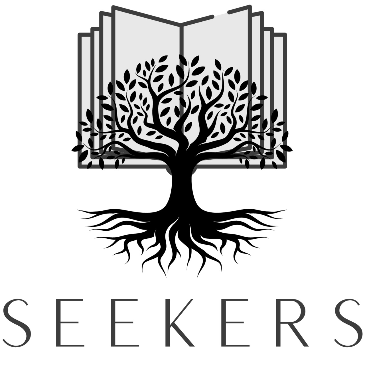 Substack profile picture for @seekers