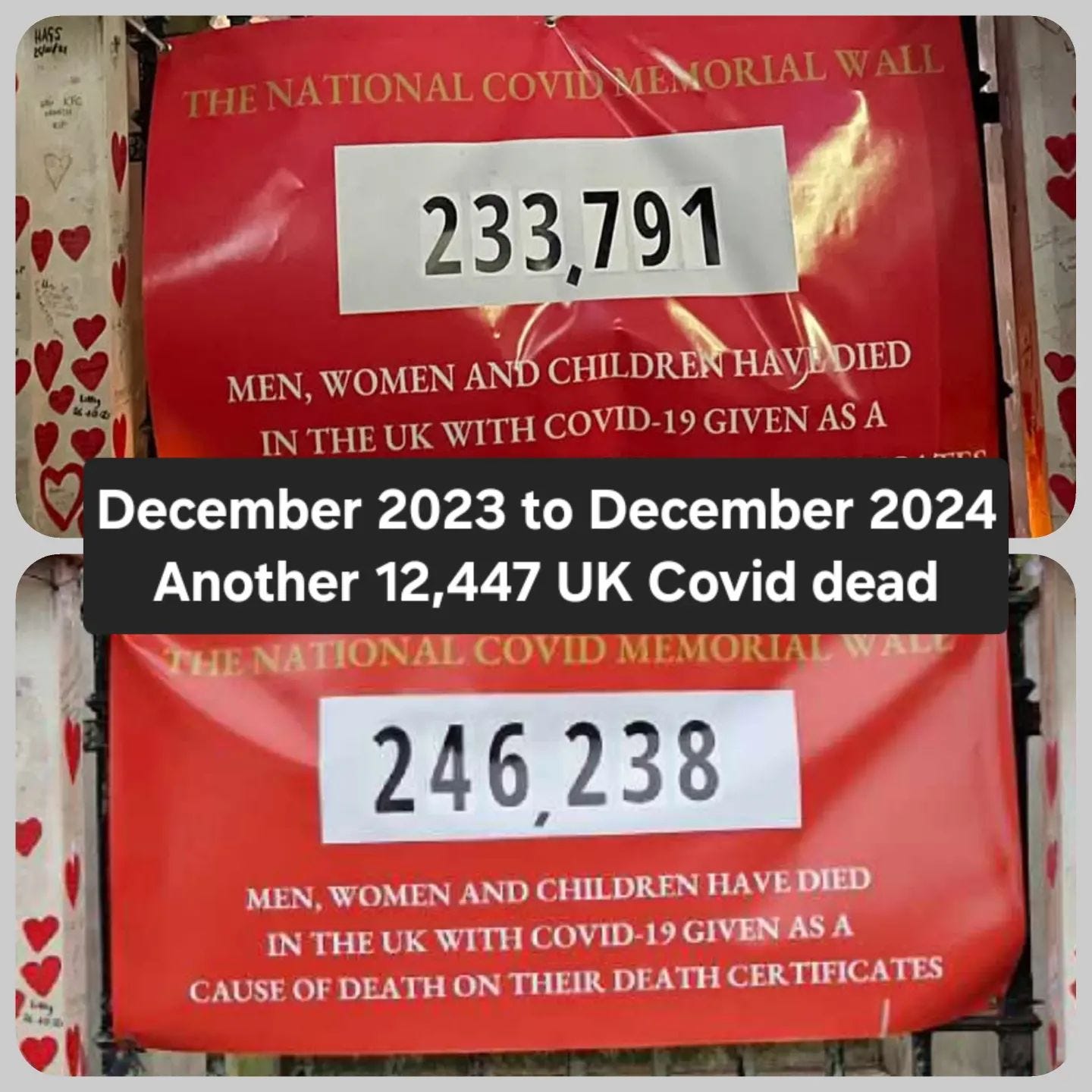 An Image of The National Covid Memorial Wall in London showing red hearts painted on the wall. There are two posters hung. First is saying up to December 2023, 233791 men, women and children died with COVID-19 written as a cause of death on their death certificate. The poster below is the same but 2024 updated now to 246238. In the centre is written December 23-24 another 12447 UK Covid dead. An Image of The National Covid Memorial Wall in London showing red hearts painted on the wall. There are two posters hung. First is saying up to December 2023, 233791 men, women and children died with COVID-19 written as a cause of death on their death certificate. The poster below is the same but 2024 updated now to 246238. In the centre is written December 23-24 another 12447 UK Covid dead.