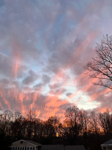 Photos depicting winter skies, snowfall and pets surviving the cold weather.