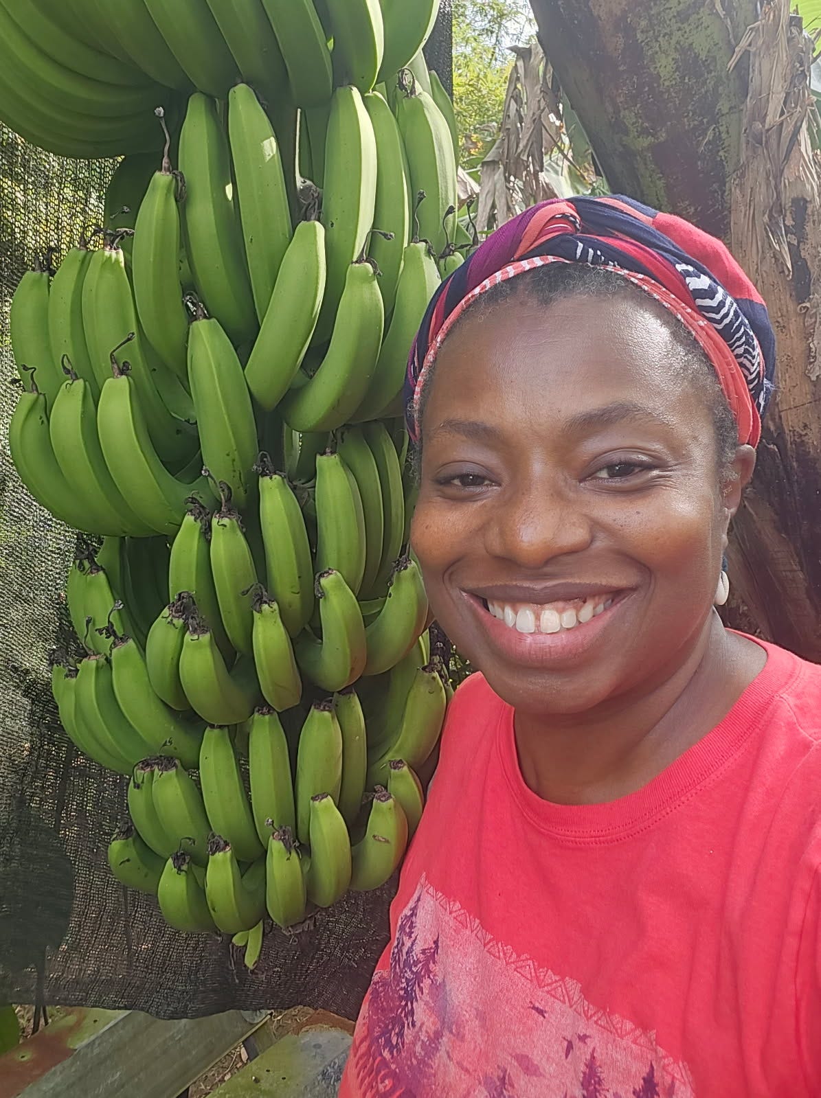 In praise of bananas and a good friend - by Lindsay Street