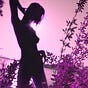 The Purity Pixel's avatar