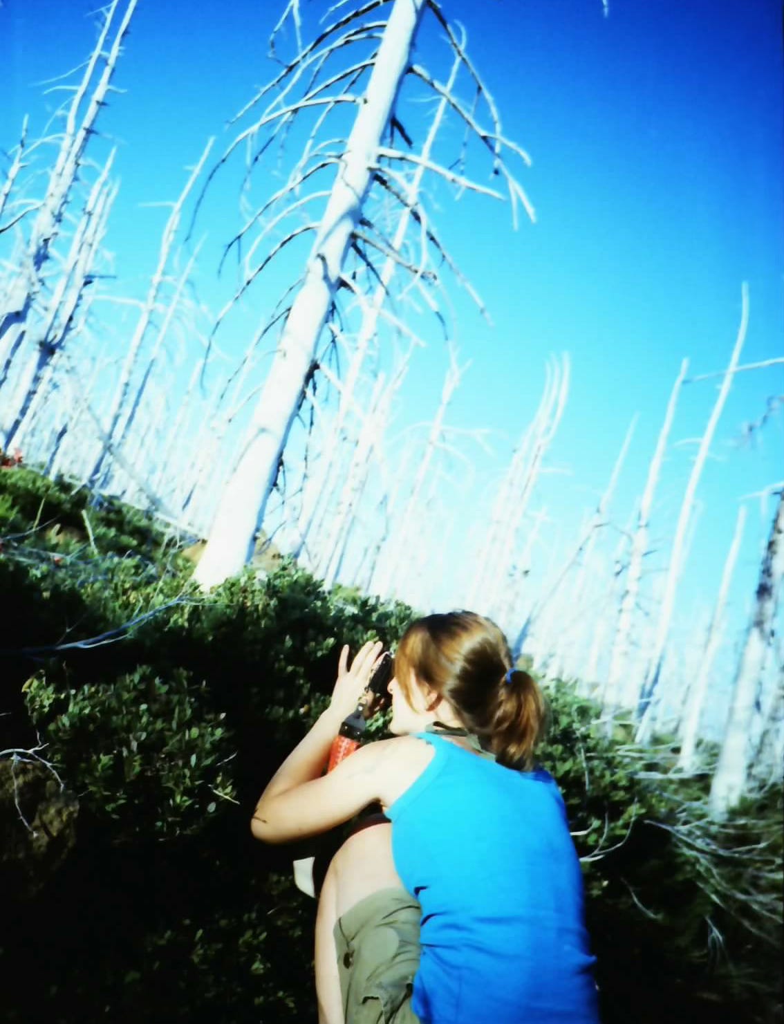 A saturated film photograph of Sarah, turned away from the camera and taking her own photograph. She is bent down and taking a photo of a landscape that includes bright green foliage, dead trees that have turned white, and a bright blue ombre sky in the background. She wears a blue tank top that matches the sky.