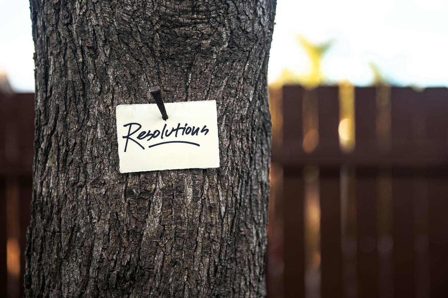 A tree with a sign on it saying Resolutions