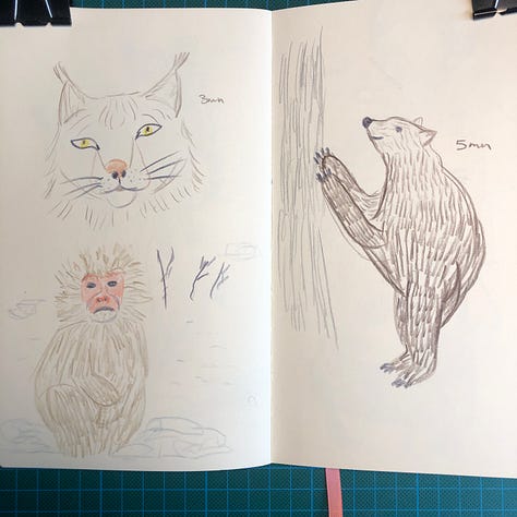 photos des 6 doubles-pages où j'ai dessiné au crayon Pitt Graphite Matt de Faber-Castell et crayons de couleurs Luminance de Caran d'Ache