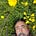 Roy Marshall's avatar