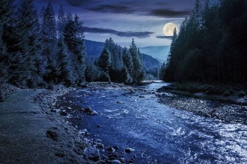 Mountain river winding through forest at night in full moon light. beautiful nature scenery in autumn. spruce trees by the shore. wonderful synevyr national park landscape in good weather with clouds Mountain river winding through forest at night in full moon light. beautiful nature scenery in autumn. spruce trees by the shore. wonderful synevyr national park landscape in good weather with clouds