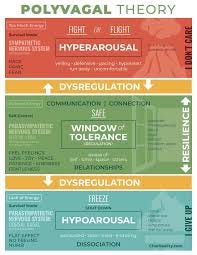 Polyvagal Theory ...