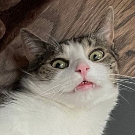 A gallery of 6 close cropped images of Fritz's face from images from the post.