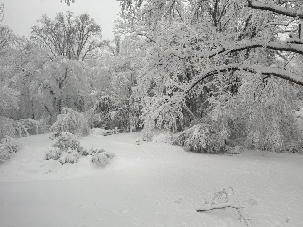 A snowy landscape with trees and bushes
AI-generated content may be incorrect. A snowy landscape with trees and bushes
AI-generated content may be incorrect.