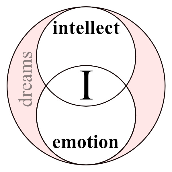 thinking meta-thinking intellect emotion dreams personality therapy counseling lincoln stoller