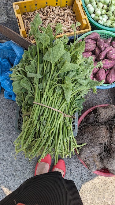 sweet potato greens