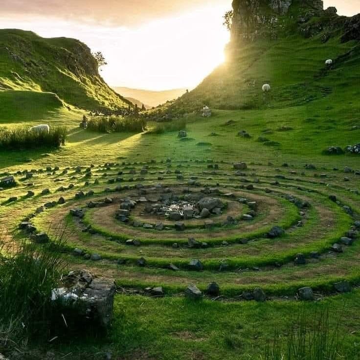 Bee's Free Verse/True Verse