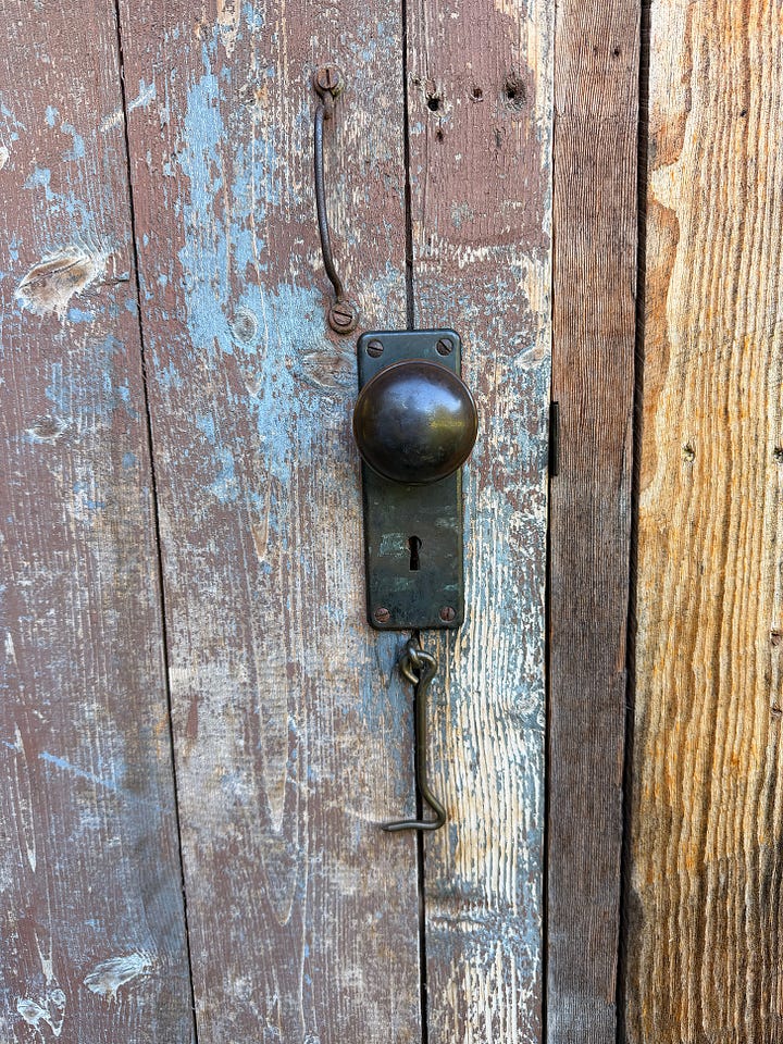 Details from the Airbnb: purple cone flowers in front of the wooden exterior. | Wooden door with hook latch and small key hole. | White tin bedroom ceiling | Host’s wet footprints on the wooden stairs.