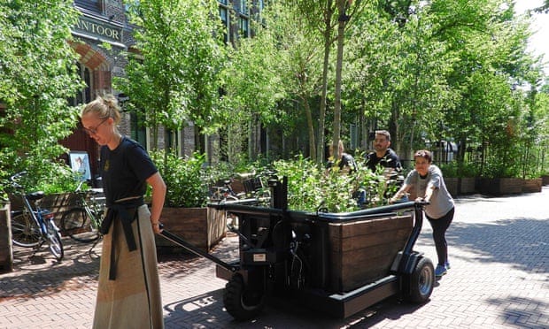 Volunteers pull the ‘walking’ trees in huge containers through Leeuwarden’s city centre