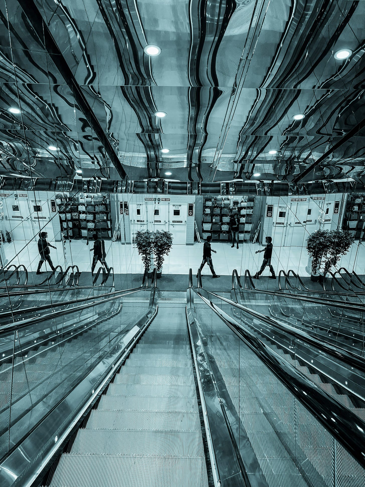 View from the top of seven glass sided escalators looking down on the mirrors and glass of the front of the building.  There are two people walking in opposite directions at the bottom of the escalators and what looks like each of their reflections coming from mirrored walls on either side of the bank of escalators. There are several doors and a wall of handbags and briefcases in between the doors.  There are also two fica trees, one ini the middle of the picture and one on the right side at the foot of the escalators. 