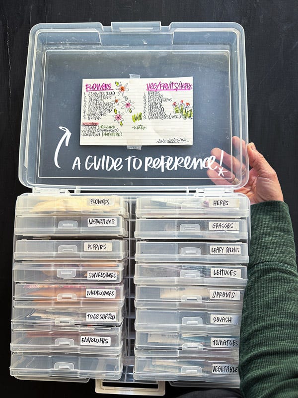 Seed Organizing - by Tracy Benjamin - The Handwriting Club
