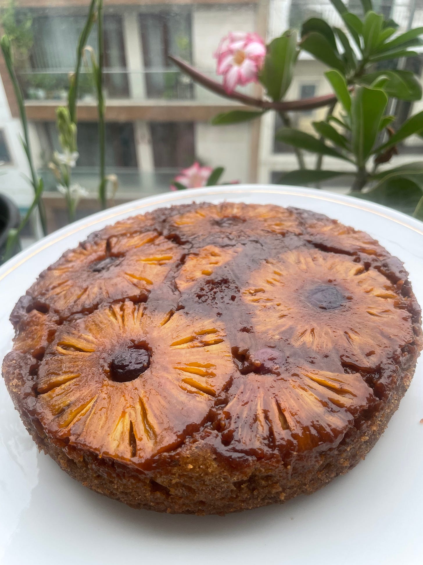 Image Description: Golden brown cake with caramelised pineapple slices and cherries on top