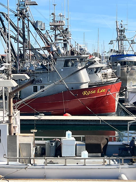Ventura harbor with boat masts. Red boat. Blue boat. Rose, Natalie and Max eating ice cream. Free mermaid advice: Keep calm and wear pearls. Two dogs sitting together on a rug. A stack of books. Sunset through the trees.